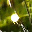 Vagalume Solar BigStock™