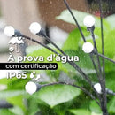 Vagalume Solar BigStock™